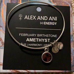 Alex and Ani February Amethyst Birthstone